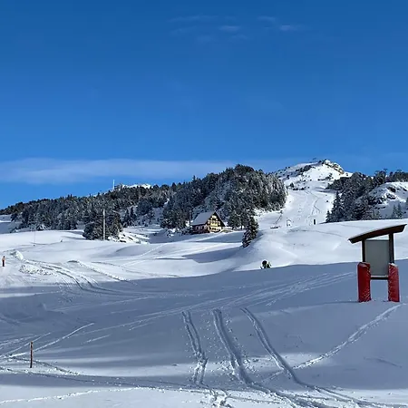 Agreable Au Pied Des Pistes Avec Balcon Et Animaux Acceptes - Fr-1-549-149 * Chamrousse
