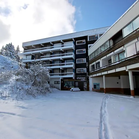 Agreable Au Pied Des Pistes Avec Balcon Et Animaux Acceptes - Fr-1-549-149 Chamrousse