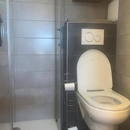 Agreable Au Pied Des Pistes Avec Balcon Et Animaux Acceptes - Fr-1-549-149